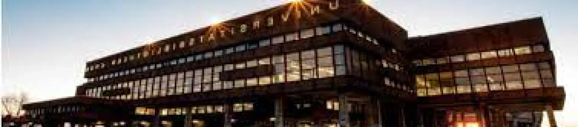 Processing, analytics and modelling natural language